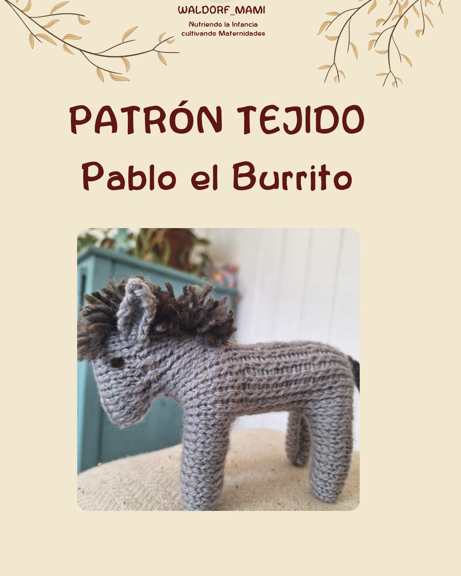 Patrón Burro